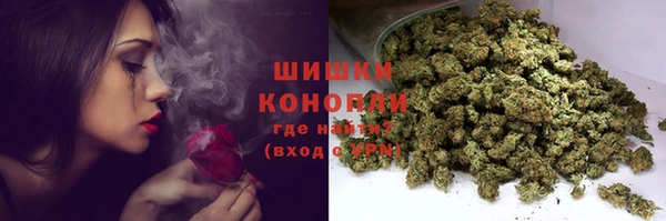 эйфоретик Баксан