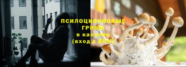 эйфоретик Баксан