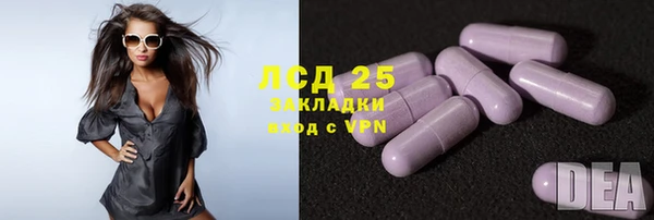 эйфоретик Баксан