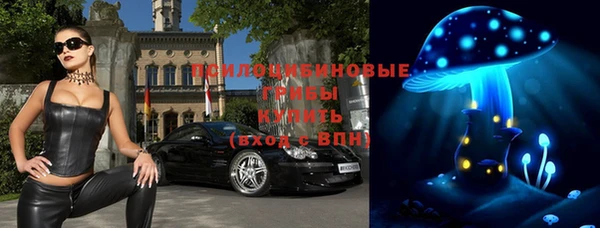 эйфоретик Баксан